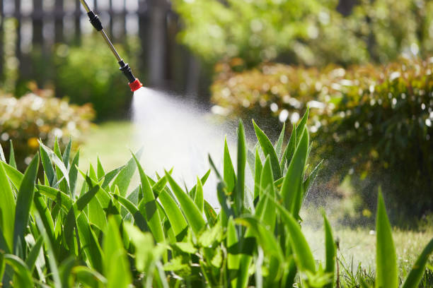 24/7 Emergency Mosquito Control experts in Greensburg, IN